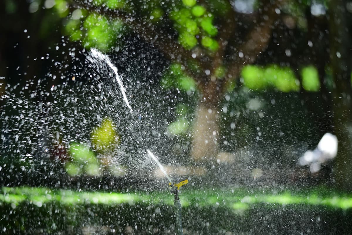 A lawn sprinkler head spraying water across grass